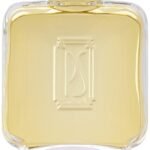 Paul Sebastian Cologne for Men, 8.0 Fluid Ounce SPLASH